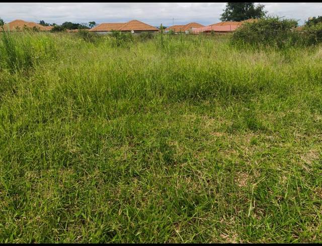 LAND FOR SALE IN CASA ACACIA
